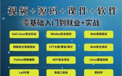 Kali Linux安全渗透教程从哪学起？