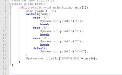 switch case语句 java