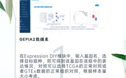 TCGA数据库怎么用？新手入门指南看这里！