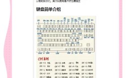 大学计算机基础实训教程答案在哪找？