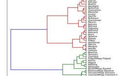 Python tkinter Tree组件如何高效操作与数据绑定？