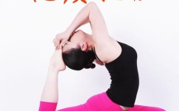 蕙兰瑜伽40集全集适合新手学吗？