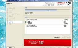 Oracle 11g R2安装教程，常见问题有哪些？