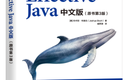 Effective中文版核心要点有哪些？