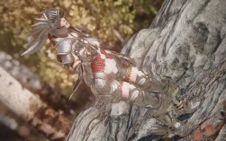 上古卷轴mod怎么装？新手入门指南