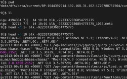 Hadoop删除文件Java代码怎么写？