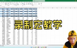 Excel宏视频教程，新手如何快速入门？