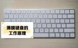 Picsart教程，键盘图片怎么弄？