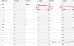 Java中如何使用Base64进行网络传输？