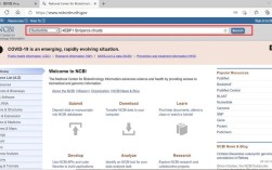 primer5引物设计步骤有哪些？