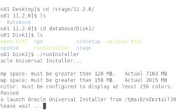 Oracle 11g安装教程，步骤详解与常见问题？