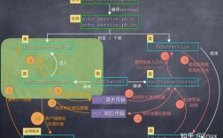 Java如何用Protobuf实现高效RPC通信？