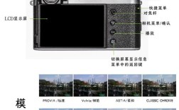 novastudio怎么用？新手入门教程看这里！