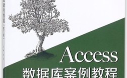 Access数据库设计如何高效规范？