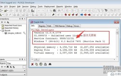 PL/SQL Developer教程如何快速上手？