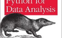 Python如何高效处理数据分析？