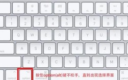 mac系统如何从u盘启动？