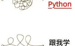 Python中如何正确使用setsockopt？