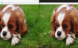 OpenCV与Python如何实现CNN模型？