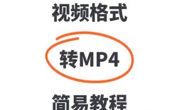 Flash MTV教程怎么学？