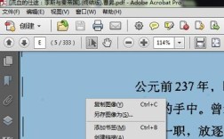Adobe Acrobat破解教程安全吗？
