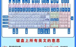 Office零基础怎么学？新手入门教程看这里！