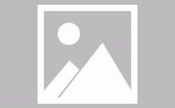 Vector与List有何区别？