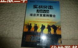 Java Web项目整合实战，如何高效整合开发？
