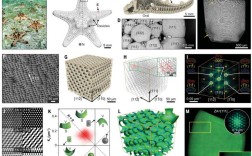 Python tolowercase方法如何使用？