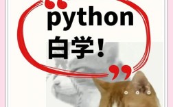 Python如何输入一个数？