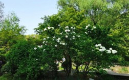 Python如何实现多期数据建模？