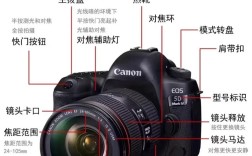 佳能5D3新手怎么快速上手操作？