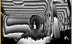 Kinect Python SDK如何快速上手开发？