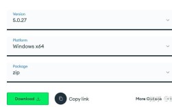Java MongoDB项目如何高效连接与优化？