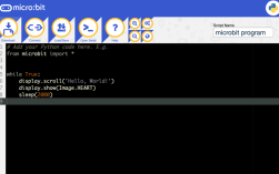 Python如何连接指定端口？