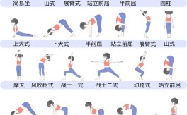 男士瑜伽入门，哪些基本动作必学？