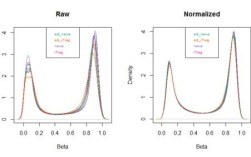 Bioconductor有Python接口吗？
