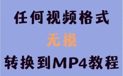 qlv格式怎么转mp4？