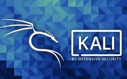 BackTrack 5教程，从入门到实战怎么学？