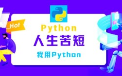 Python Google风格指南核心要点是什么？