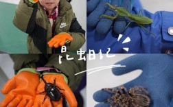 Tornado爬虫，异步高并发如何实现？