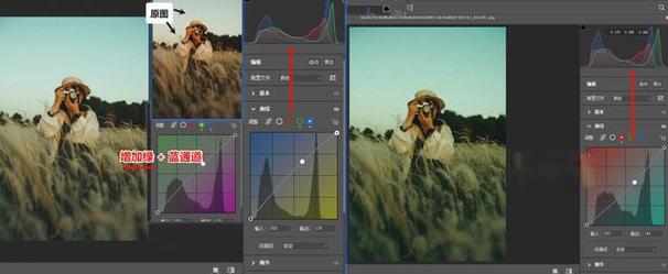 Adobe Camera Raw新手怎么快速上手？-图1