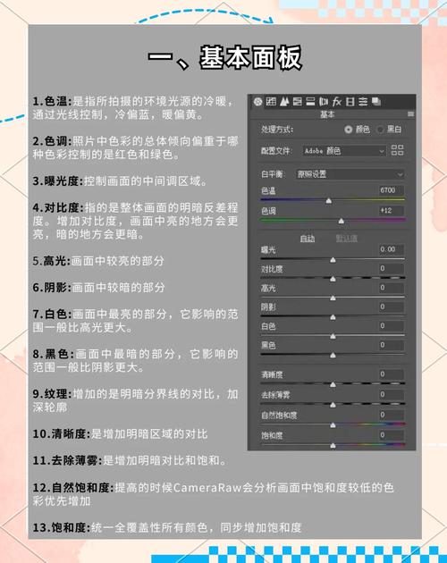 Adobe Camera Raw新手怎么快速上手？-图2