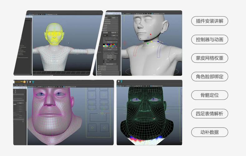 AdvancedSkeleton教程怎么学?关键步骤有哪些?-图1 AdvancedSkeleton教程怎么学?关键步骤有哪些?-图1