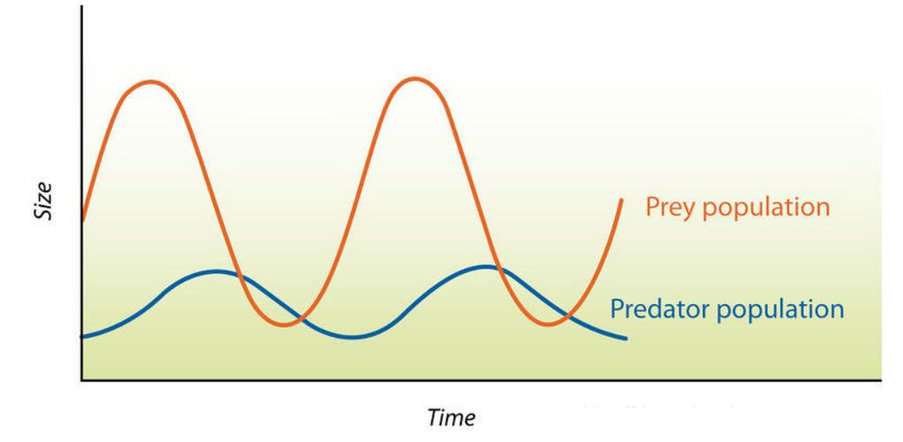 Python numpy polyfit如何实现曲线拟合?-图3 Python numpy polyfit如何实现曲线拟合?-图3