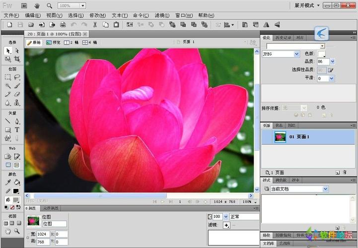 Adobe Fireworks教程从哪学？零基础怎么入门？-图3
