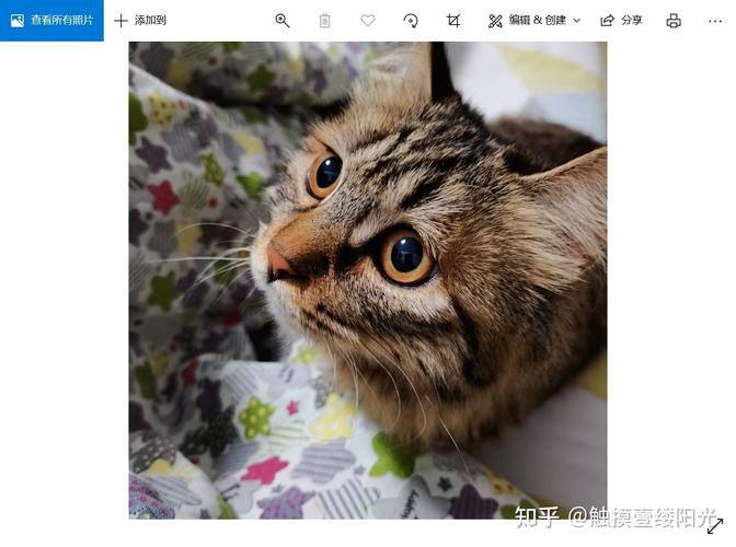 Python PIL thumbnail如何高效缩略图？-图1