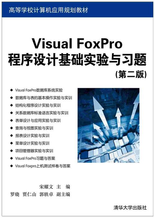 Visual FoxPro教程视频哪里找？-图2