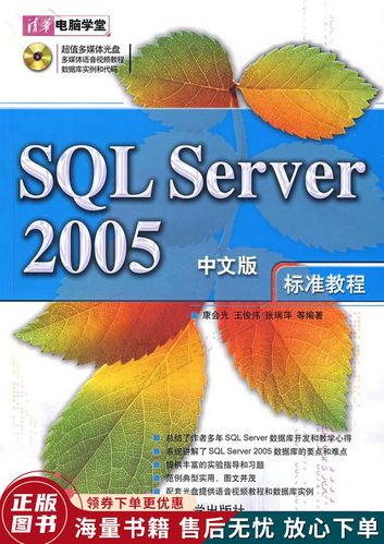 Java如何连接SQL Server 2005？-图2