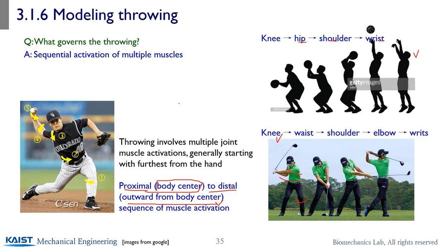 throw与throws在异常处理中如何区分使用?-图3 throw与throws在异常处理中如何区分使用?-图3